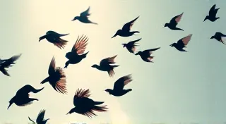 The Corvus’ Dance: The Subtle Art of Paper Angle Adjustment for Left-Handed Calligraphers