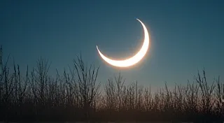 The Lunar Embrace: Finding Your Calligraphic Rhythm Under the Left-Hand's Influence